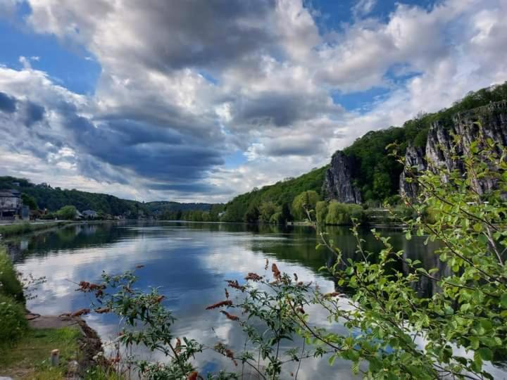 Maison Et Velos A Godinne Dans La Vallee De La Meuse Buitenkant foto